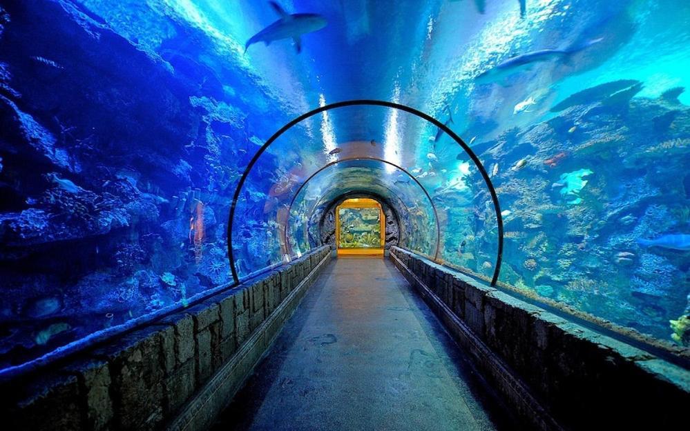 Mandalay Bay Resort And Casino By Suiteness Las Vegas Dış mekan fotoğraf